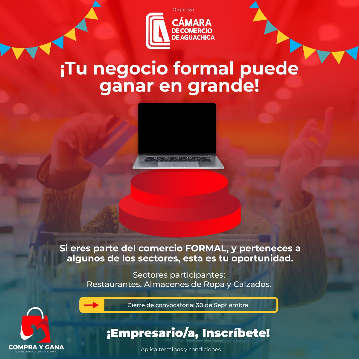 RED BACKGROUND WITH GREEN, ON THE PORTABLE HALF, WHITE LETTERING, LOGO AT THE TOP.